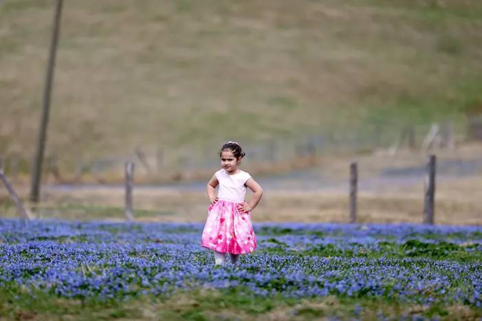 Trabzon'da Kadıralak Yaylası’nda, ‘mavi yıldız’ zamanı! 1